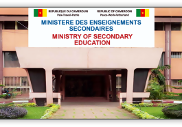 Enrôlement en ligne et validation des données du personnel de l'état 2023 au Cameroun