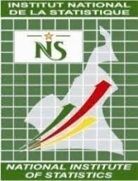 INS : l'Institut National de la Statistique au Cameroun